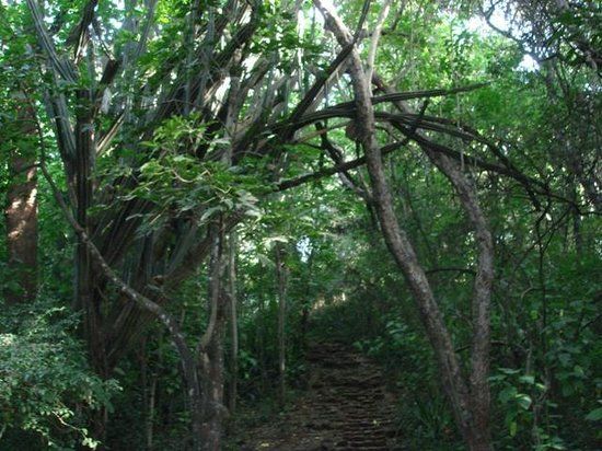 Arboretum de Nairobi